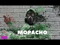 instrumental afara tsena x Tidiane Mario Type Beat 2023 Guarja prod │ DRILL MOUPACHO