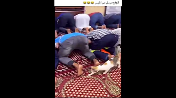 حالات واتس اب جد مضحكة جدا جدا 