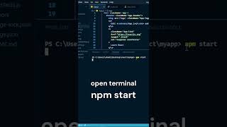 how to run react app using terminal and npm
