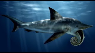 10 Strangest Sharks In The World