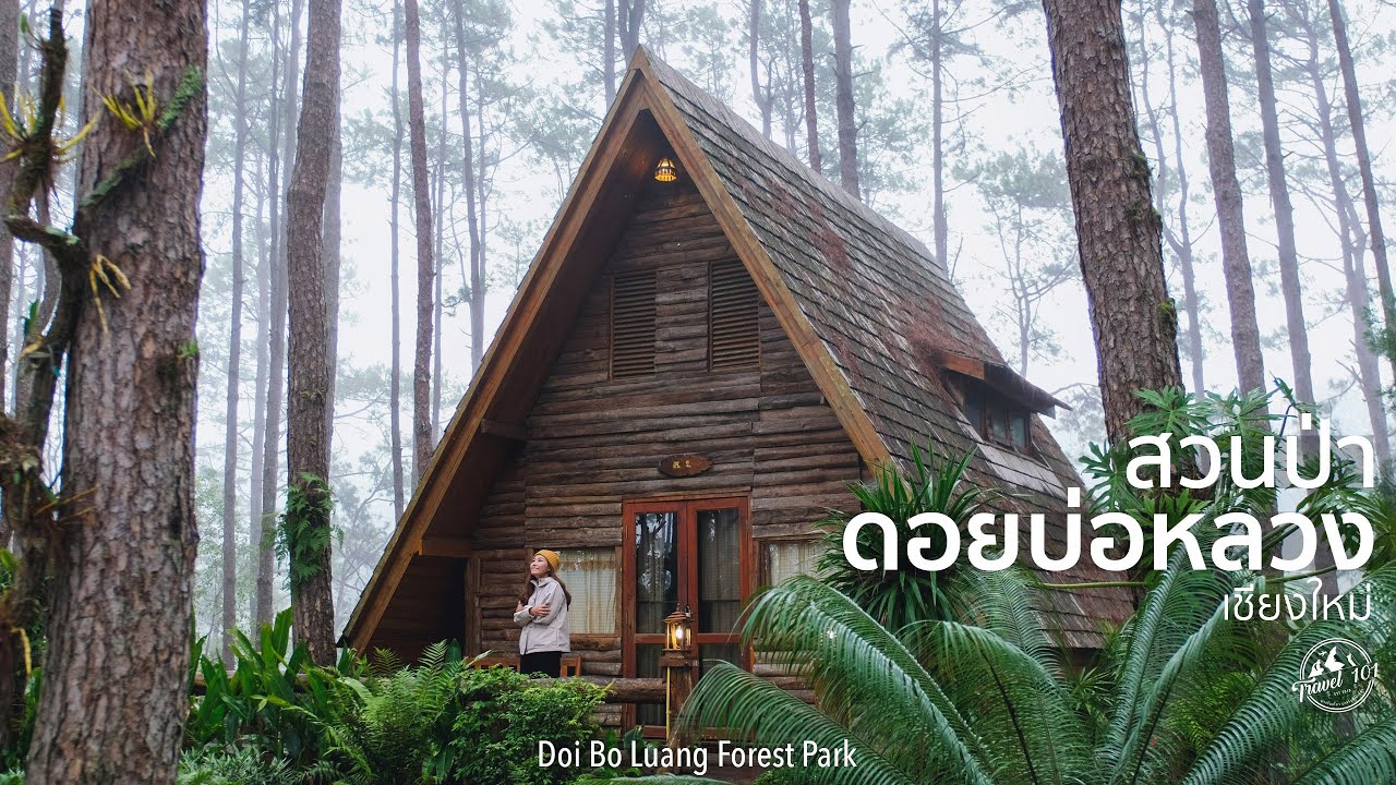 ที่พักเชียงใหม่ บนดอย  Update 2022  เที่ยวสวนป่าดอยบ่อหลวง สัมผัสธรรมชาติป่าสน เชียงใหม่ | Travel 101 | Doi Bo Luang Forest Park SS2:Ep1