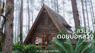 เที่ยวสวนป่าดอยบ่อหลวง สัมผัสธรรมชาติป่าสน เชียงใหม่ | EP.46 Doi Bo Luang Forest Park