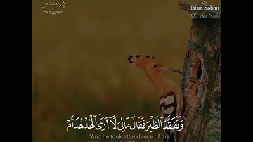 ما تيسر من سورة النمل