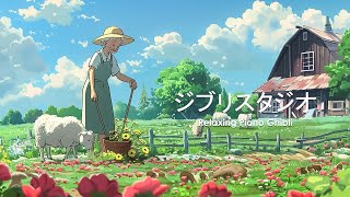 【Ghibli Relaxing Music 】🎶 ジブリ音楽 ✨ 史上最高のジブリ コレクション ✨ Kiki, Spirited Away, Totoro 🌼🌼