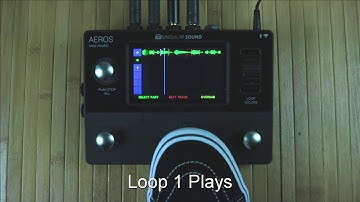 Singular Sound Aeros Loop Studio: 6x6 Demo