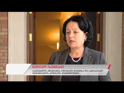 თბილისის საკრებულოს ადამიანის უფლებათა დაცვისა და სამოქალაქო ინტეგრაციის კომისის სხდომა