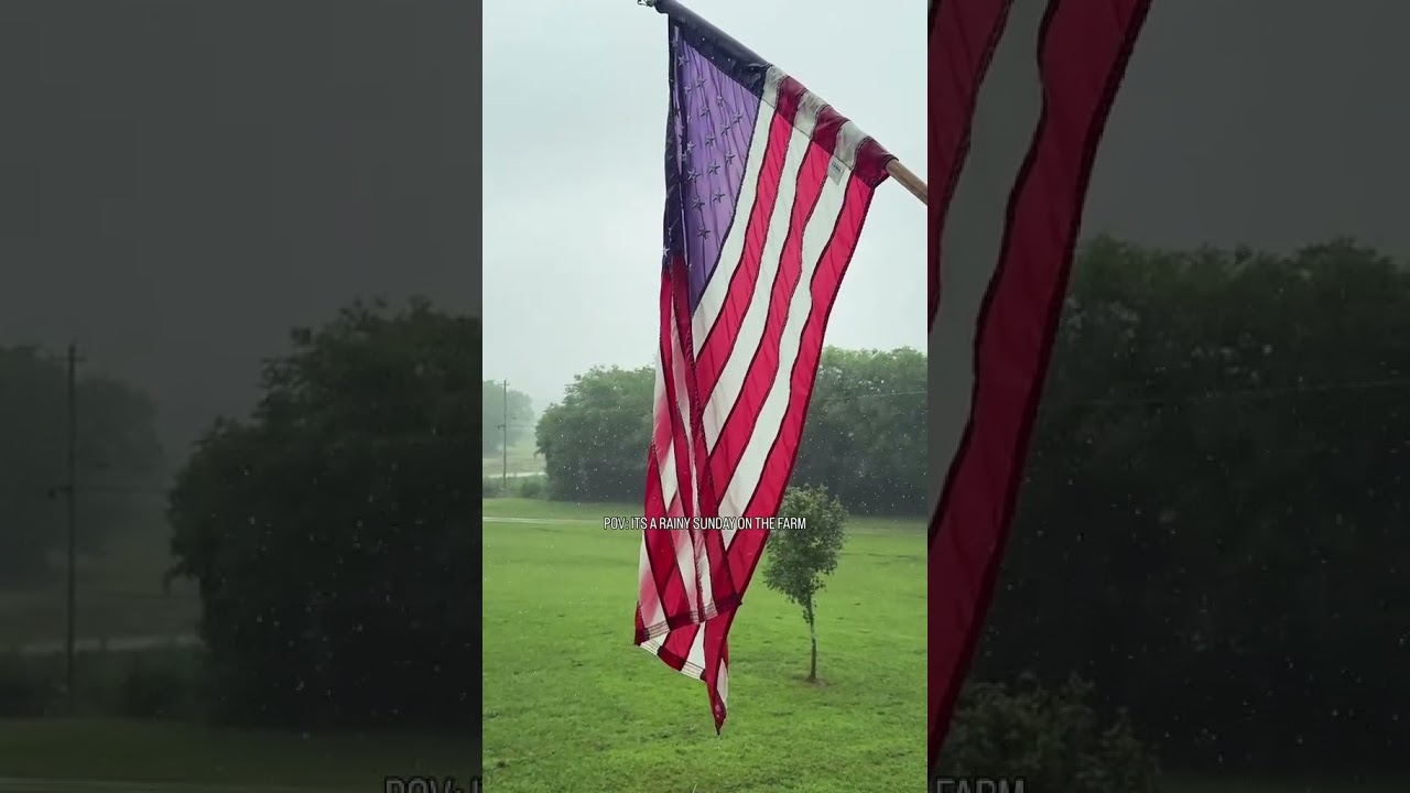 POV: it’s a rainy Sunday on the farm 🌧️