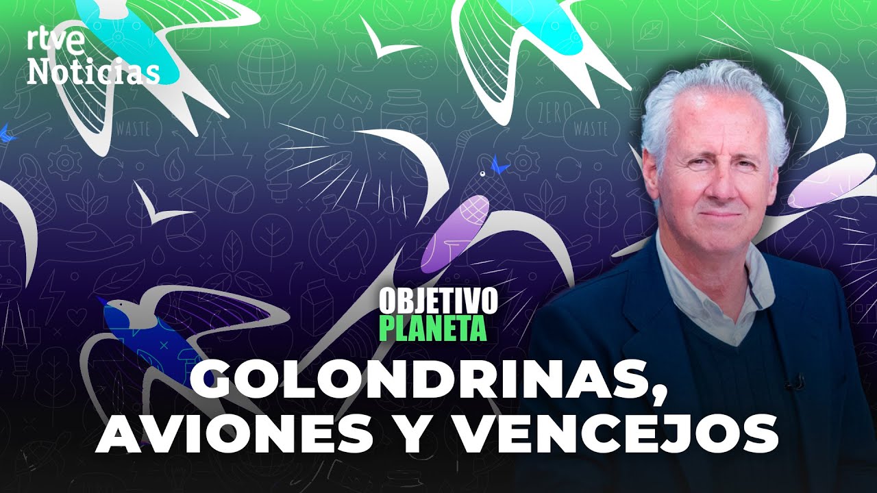AVES: LORENZO MILÁ y los ENEMIGOS de VENCEJOS y GOLONDRINAS en OBJETIVO PLANETA | RTVE