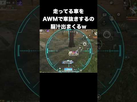 AWMで車抜きは脳汁出まくる　#荒野行動