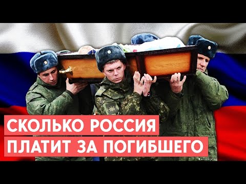 Видео: Получают ли члены отряда деньги за вознаграждение?