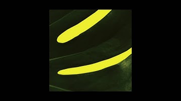 NR02 B2 Lazaros - Hz