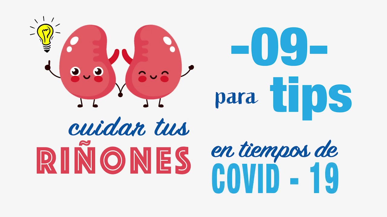 Salud renal: cómo cuidar de tus riñones