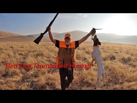 Video: Field Events for Hunting Dogs