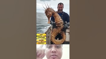 Animale vs Traditional Robots Which is Better for Beginners #robotfamily #automation #roboticssystem