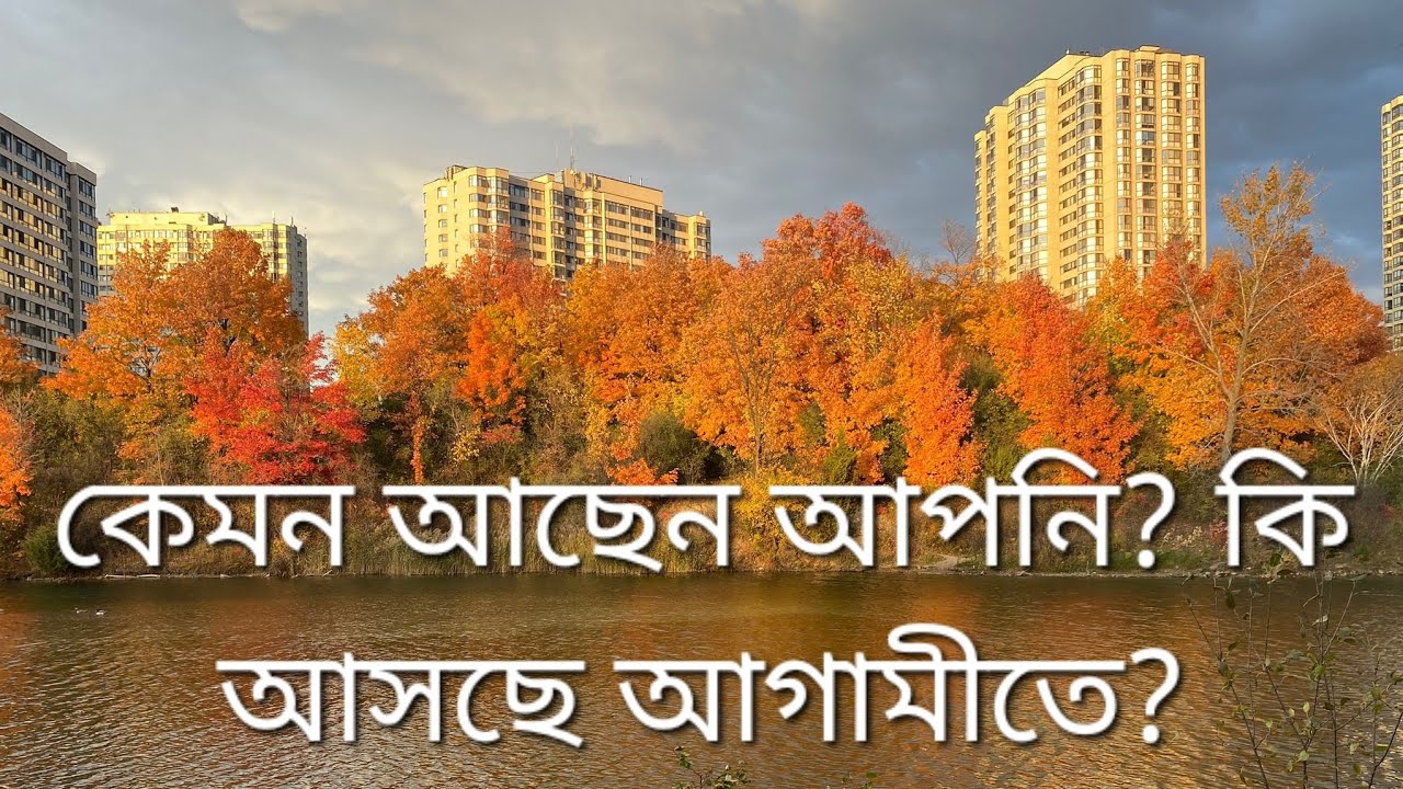 কেমন আছেন আপনি?কি আসছে ভবিষ্যতে? #whatscomingnext #howareyou #bengalitarotreading #nextblessings