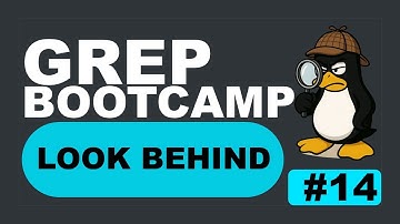 Grep Bootcamp 14: grep -B  |  See Lines BEFORE Your Match