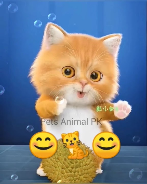 cat 😺 dancing 🤩 dude dude dam dam song viral shorts in youtube #shorts #cat #trending