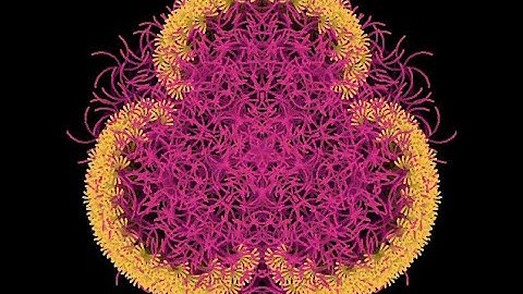 Branches 3 (Processing Animation 2023 12 12) #processing #ambient #fractal