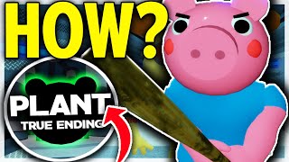 Piggy chapter 12 how to get the true ending? *theory* (roblox piggy)
in this video, i talk about roblox skins be...