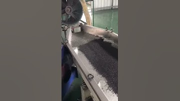 Black Masterbatch production