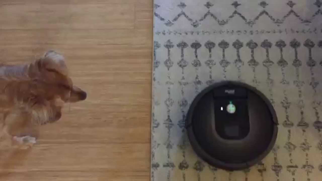 Clean Floors With The Press Of A Button Roomba 900 Series