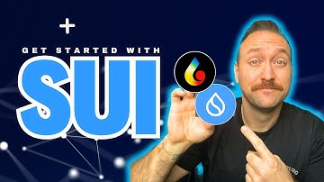 How To Bridge to SUI and get 320% Returns!