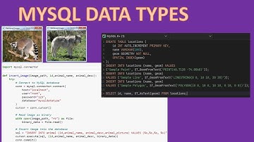 MYSQL DATA TYPES (python code for read write image to mysql)