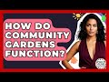 How Do Community Gardens Function? - Child Welfare Network