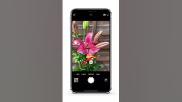 Easy iPhone flower camera hack 🌷🔥📸 #shorts
