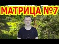 Матрица 7 Исцеление Всего Организма и Регенерация 