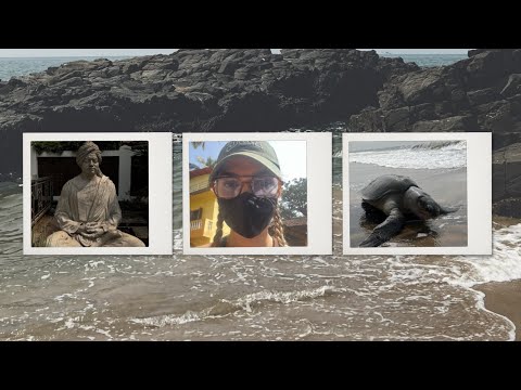 Indian Street Food | მოგზაურობა ინდოეთში გრძელდება | კონცერტი |ქუჩის კაზინო