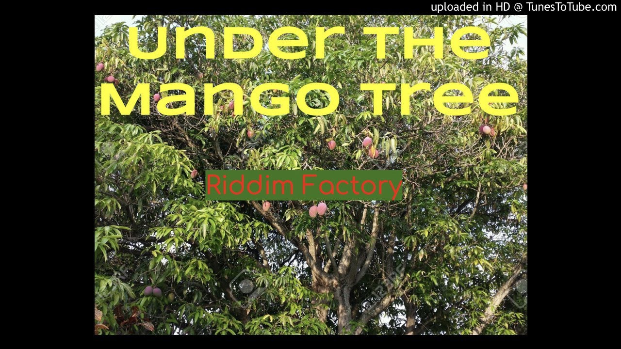 Underneath the Mango Tree YouTube