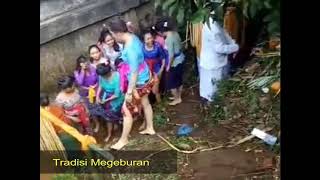 Tradisi unik Bali kalah di Telanjangi perempuan...