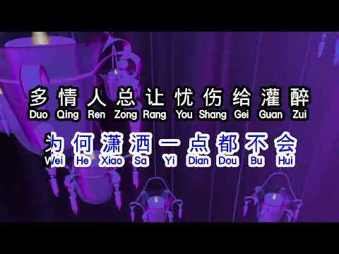 李翊君  《 多情人都把灵魂给了谁 》  duo qing ren dou ba ling hun gei le shui