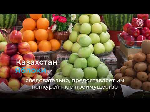 Создание устойчивых агропродовольственных систем: «Одна страна – один приоритетный продукт»