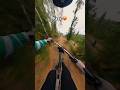 INSANE JUMPLINE POLAND 🥵 #mtb #bike #riderslife #ride #mtb #downhill #fypシ #fypシ゚viral #crazy