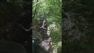 Certains nont pas vraiment compris lesprit du Raid : on attend, on observe et on aide !  Bref...