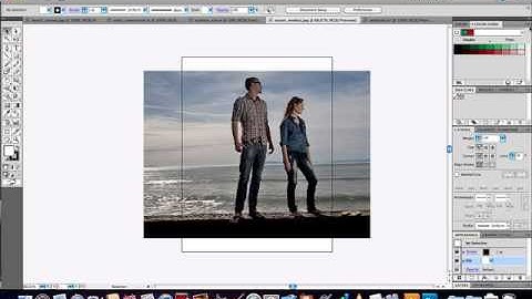Illustrator CS5.1 Tutorial - Working with Color