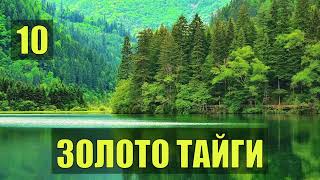 УБЕЖИЩЕ в ТАЙГЕ   ОХОТА на КРУТЫХ ПЕРЦЕВ на ВЕРТОЛЕТЕ ЗОЛОТО ВЫЖИВАНИЕ В ЛЕСУ СУДЬБА ДЕТЕКТИВ 10