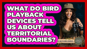 What Do Bird Playback Devices Tell Us About Territorial Boundaries? - Bird Watching Diaries