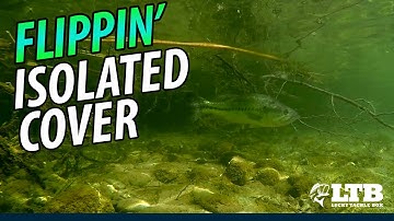 How To Flip Isolated Cover: Lucky Tackle Box Tips