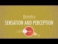 Sensation and perception crash course psychology 5