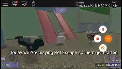 Pet Escape | Game Play