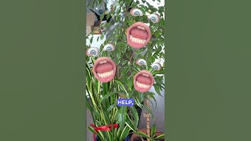 3D Printed Watering Can #garden #3dprinterupgrade #gadget