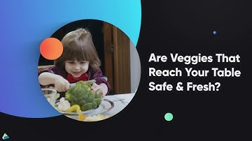 Lot Traceability Software for Process Manufacturing