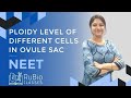 Ploidy Level of Different Cells in Ovule Sac | NEET | RuBio Classes