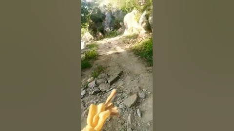 My first vlong in mata rani mandir || #firstshortvideo #first #firstvlog #matarani #mata #vlogs