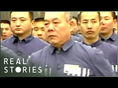 Fighting China's Forced Organ Harvesting (Crime Documentary) | Real Stories