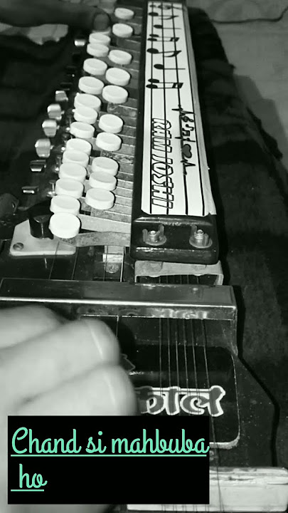 Chand si mahbuba on benjo cover #shortsvideo