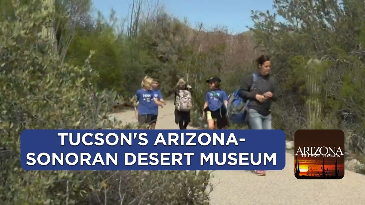 Arizona-sonora Desert Museum